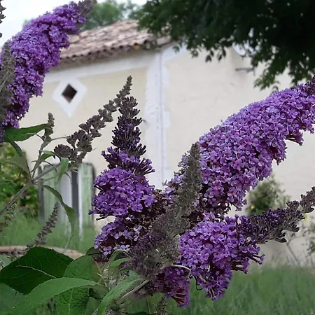 펜션 Countryside Lavender Saint-Julien-d'Eymet