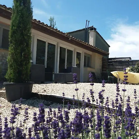 Countryside Lavender
