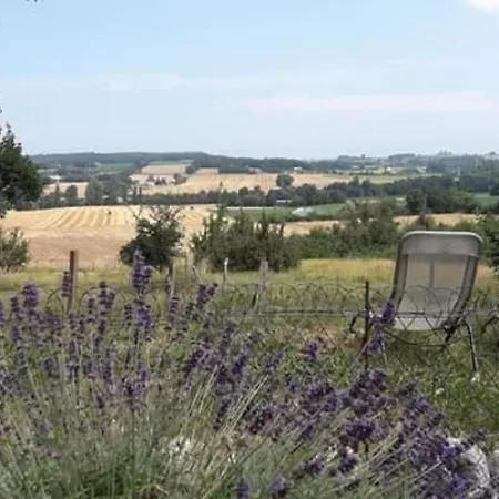 Countryside Lavender * Saint-Julien-d'Eymet